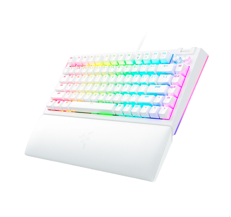 Клавиатура Razer BlackWidow V4 75% 2
