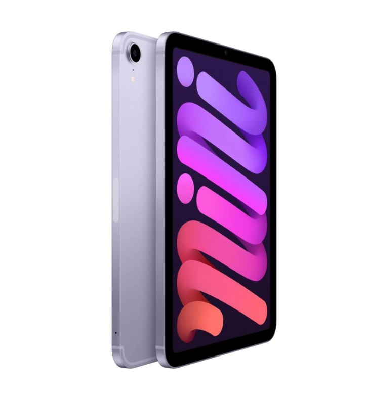 Apple iPad mini 6 64GB Wi-Fi Purple 2
